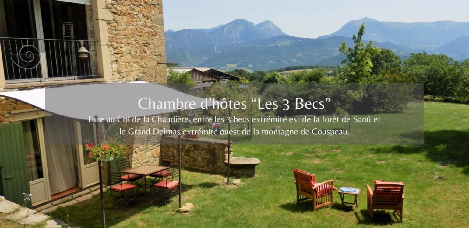 4-chambre-dhotes-foret-de-saou LES 3 BECS.jpg