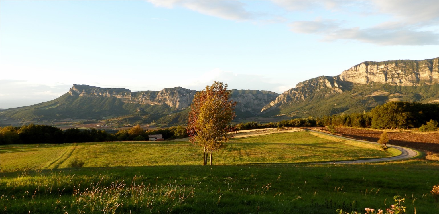 pa052183.jpg