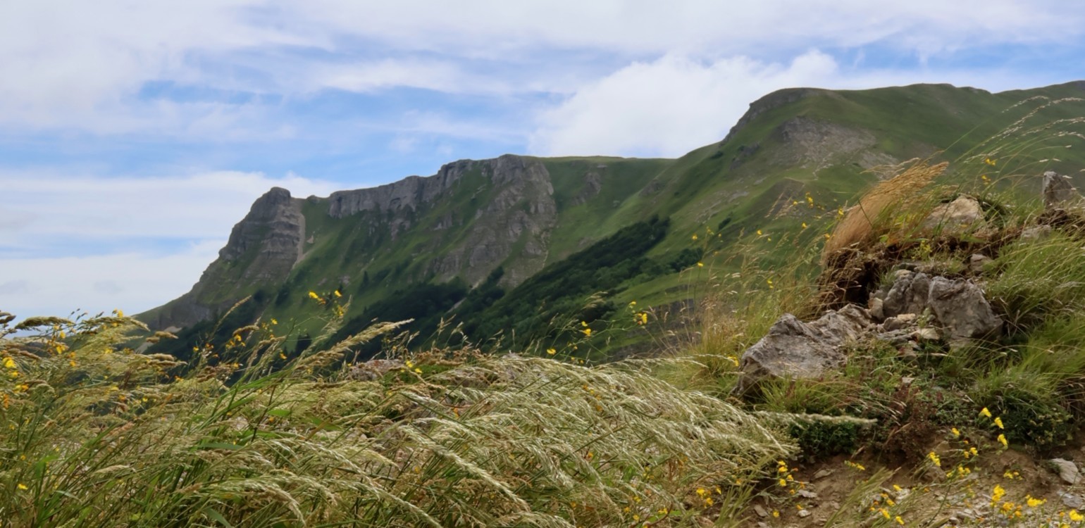 Sulimes-routes-du-vercors-coldelabataille (5).jpg