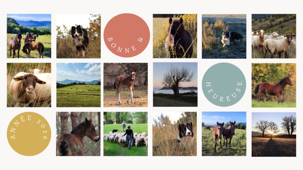 Carte cadeaux Séjours dans la Drôme