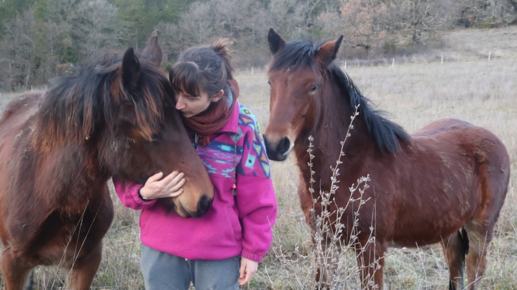 Pouliches Vercors de Barraquand Drôme