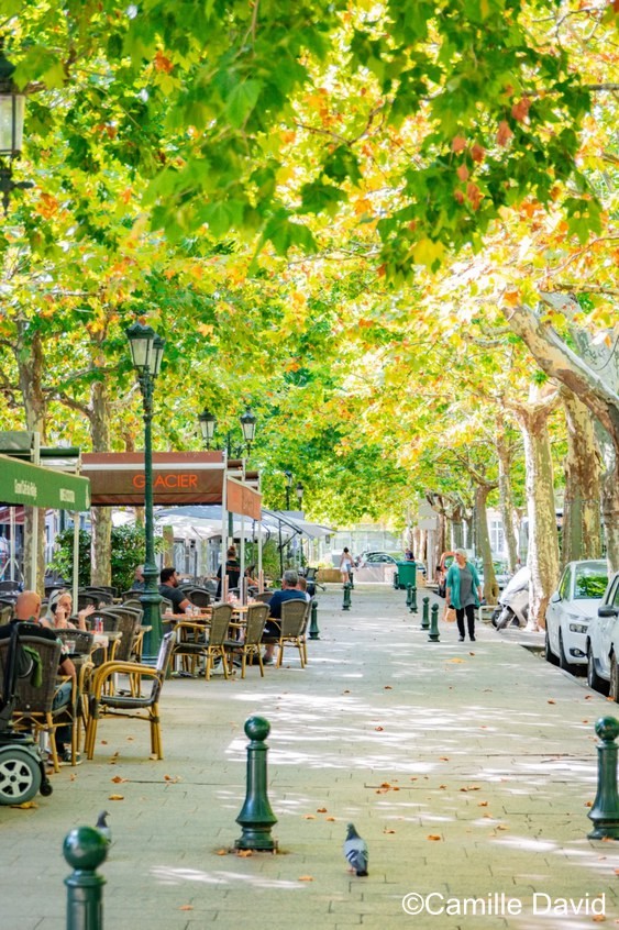 Les Allées Provençales Les Allées Provençales Montélimar Drôme