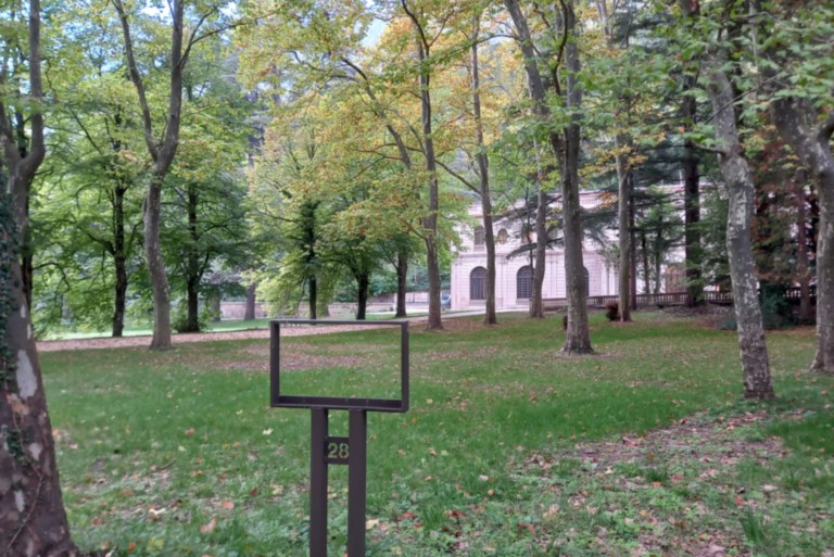 Forêt de Saoû Forêt de Saoû Drôme
