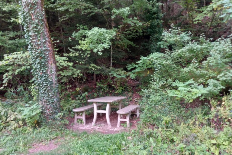 L'Auberge des Dauphins Forêt de Saoû L'Auberge des Dauphins Forêt de Saoû
