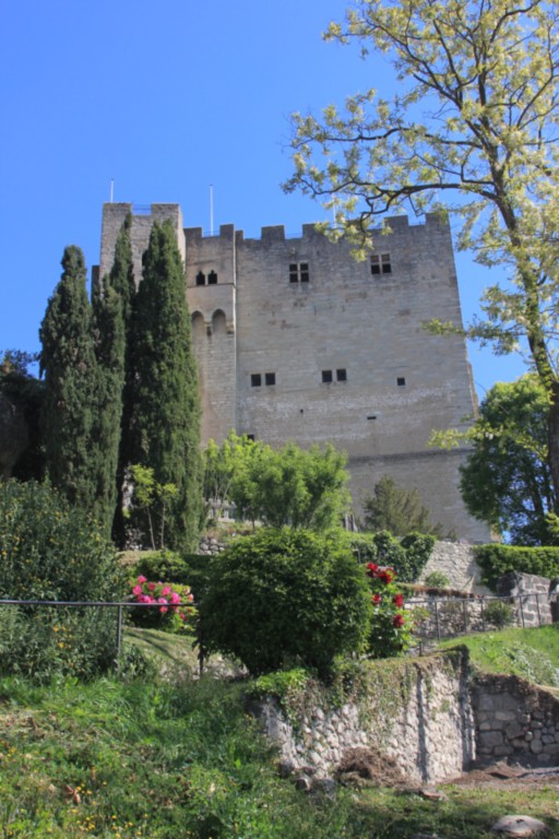 Tour de Crest Crest Drôme Tour médiévale
