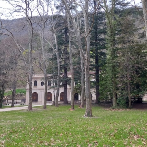 Balade ludique en forêt Saoû Balade ludique en forêt Saoû Drôme