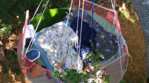 Bivouac dans les arbres Grimpe d'arbres Bourdeaux Drôme