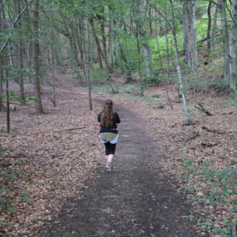 Quizz familial dans notre en forêt Quizz familial en forêt Drôme