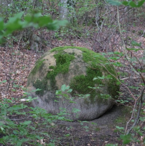 Oeuf de Dragon Oeuf de Dragon