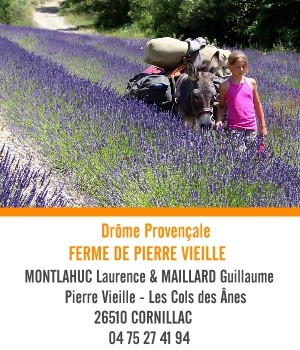 Randonnées en ânes bâtés Ferme de Pierre Vieille Drôme provençale