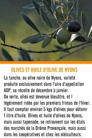 olive et huile d'olive de Nyons, drôme provençale