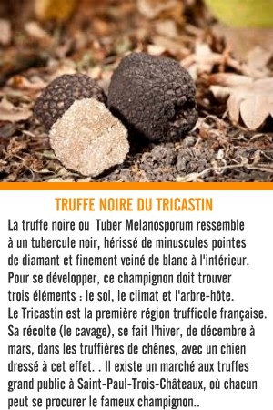 truffe noire du Tricastin drôme provençale