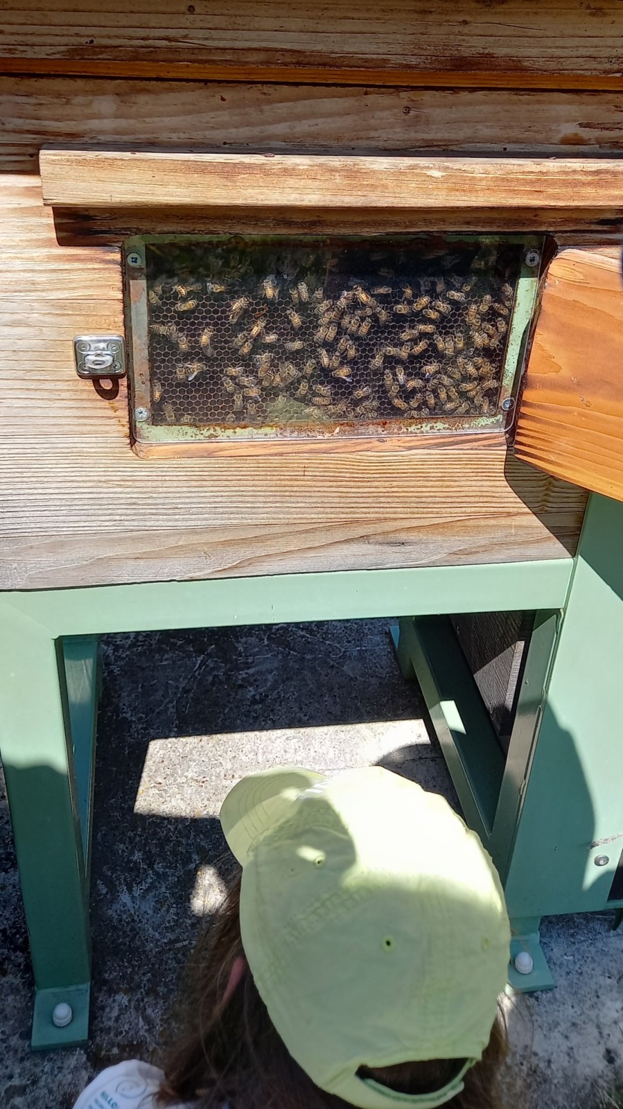 Animation Gare des Ramières