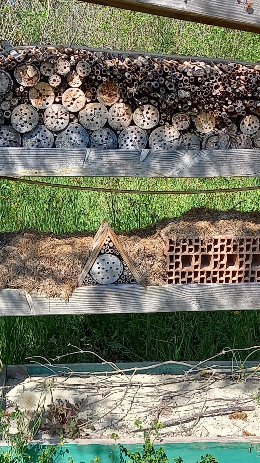 Jardin de la Gare des Ramières Gare des Ramières Allex
