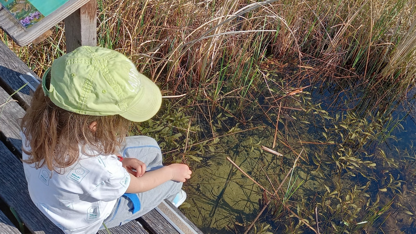 Animation Gare des Ramières