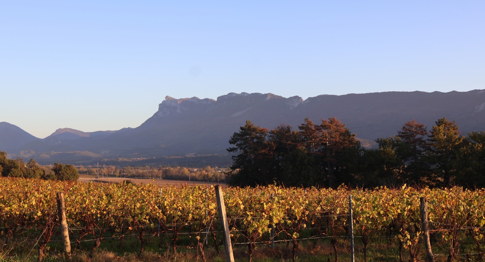 Mirabel et ses vignobles de Clairette Mirabel Drôme en automne