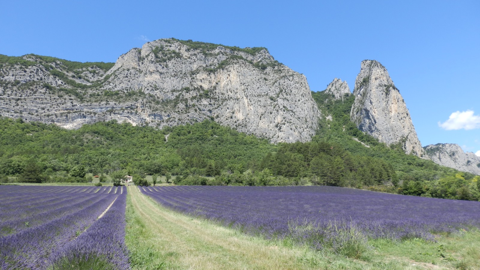 Vacances à la montagne Drôme