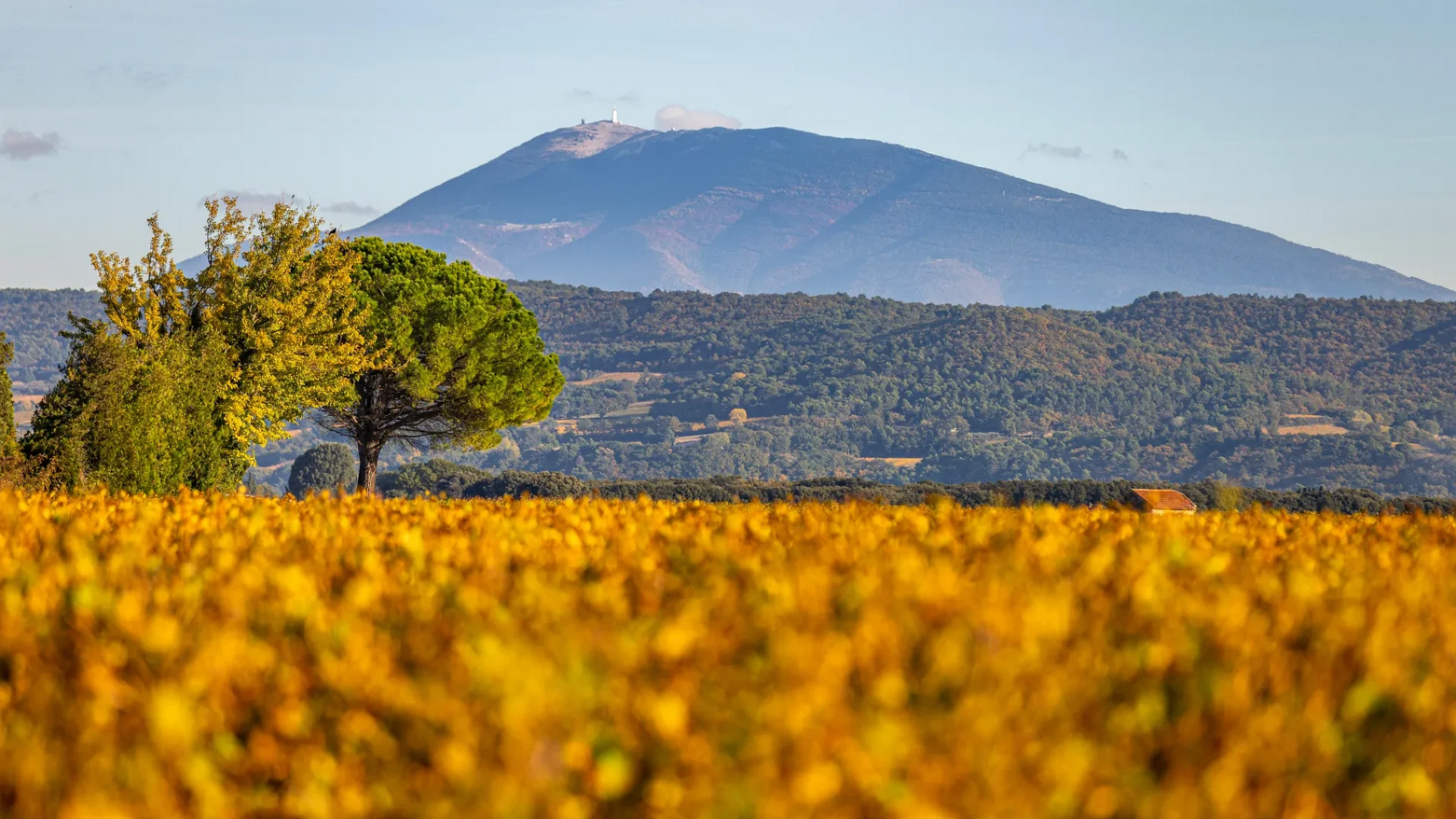 Le Mont Ventoux depuis Tulette Le Mont Ventoux depuis Tulette